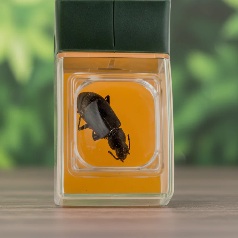 Miniatuur 4