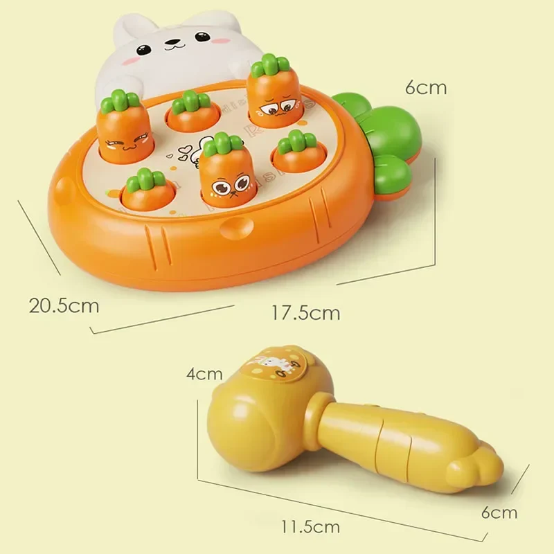 Miniatuur 5