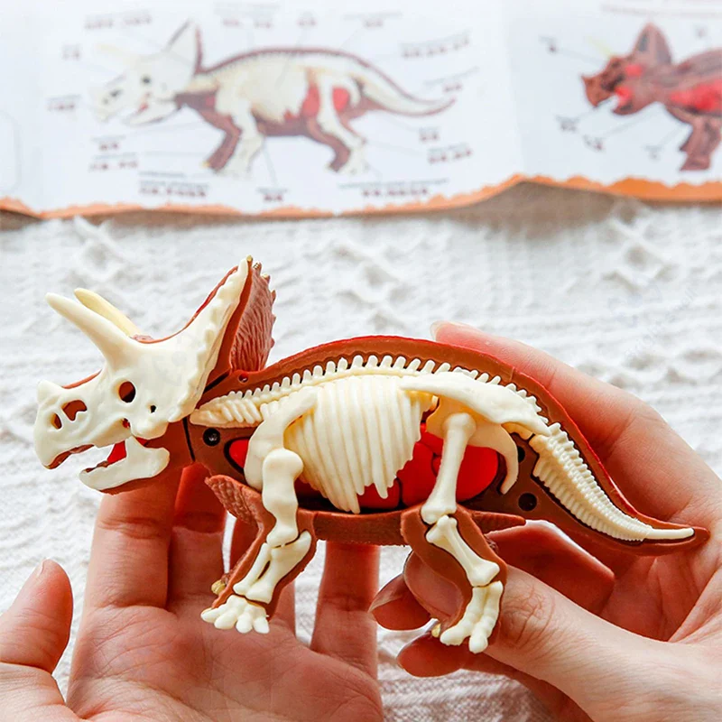 Miniatuur 4