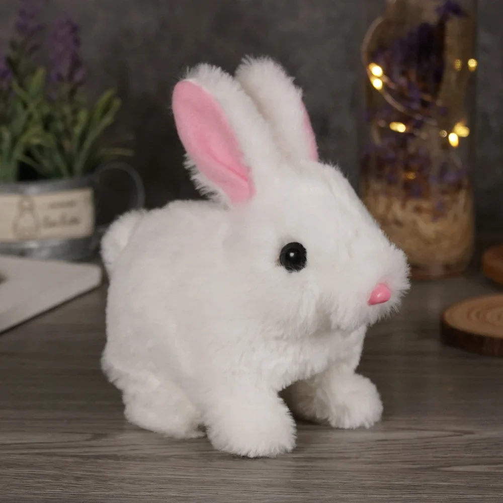Miniatuur 3