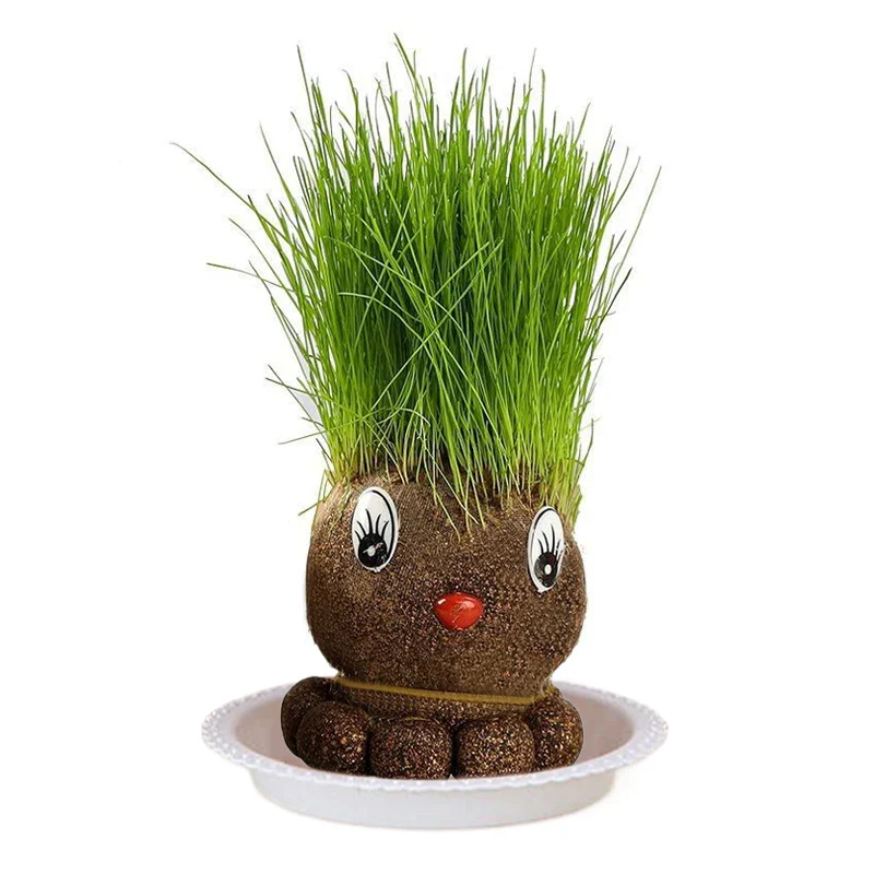 Miniatuur 10