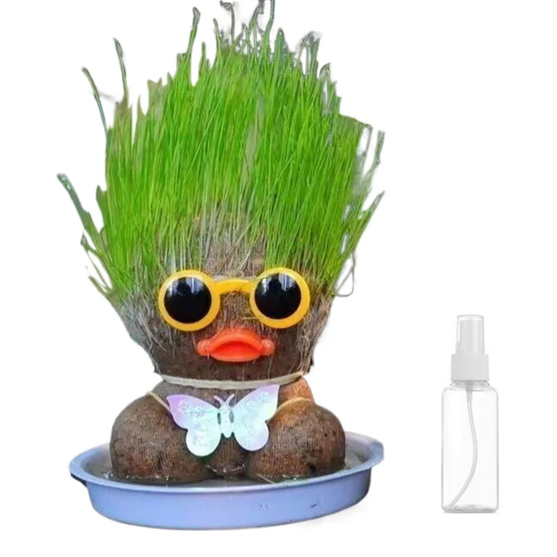 Miniatuur 12