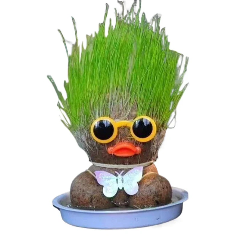 Miniatuur 8