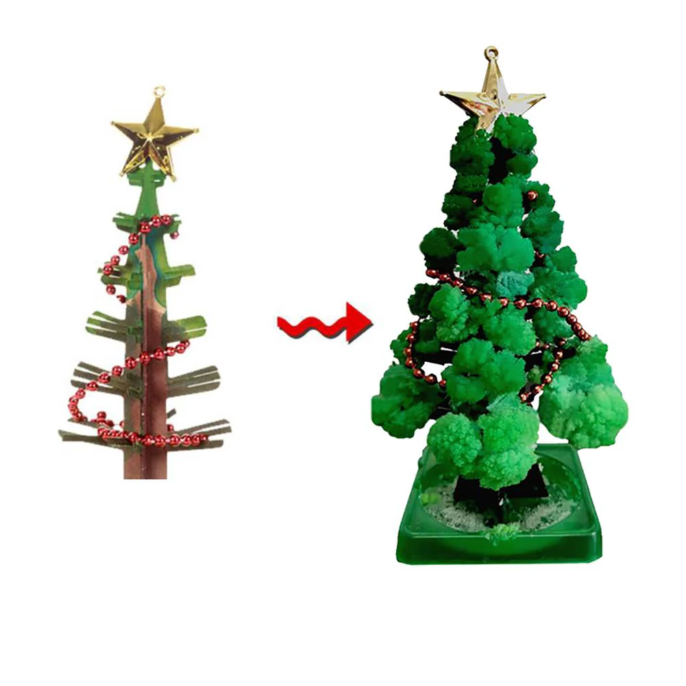 Miniatuur 2