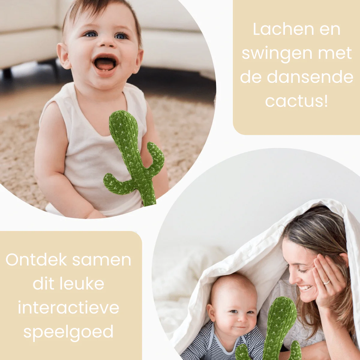 Miniatuur 4