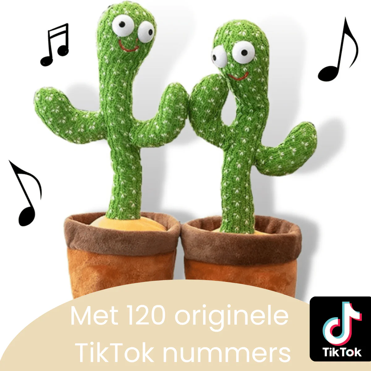 Miniatuur 5