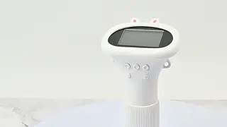 Miniatuur 12