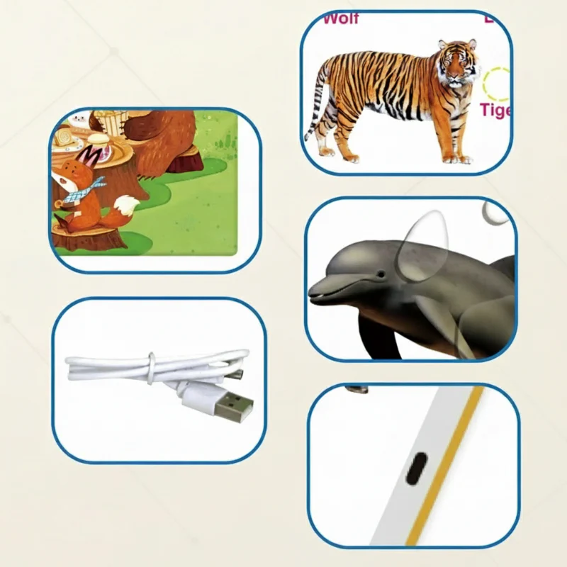 Miniatuur 5
