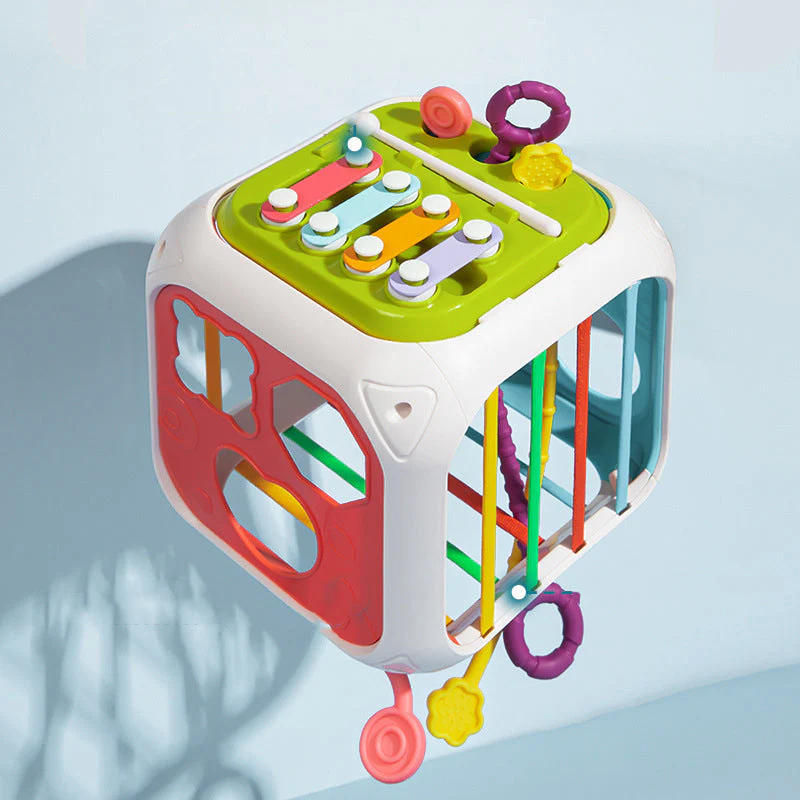 Miniatuur 3