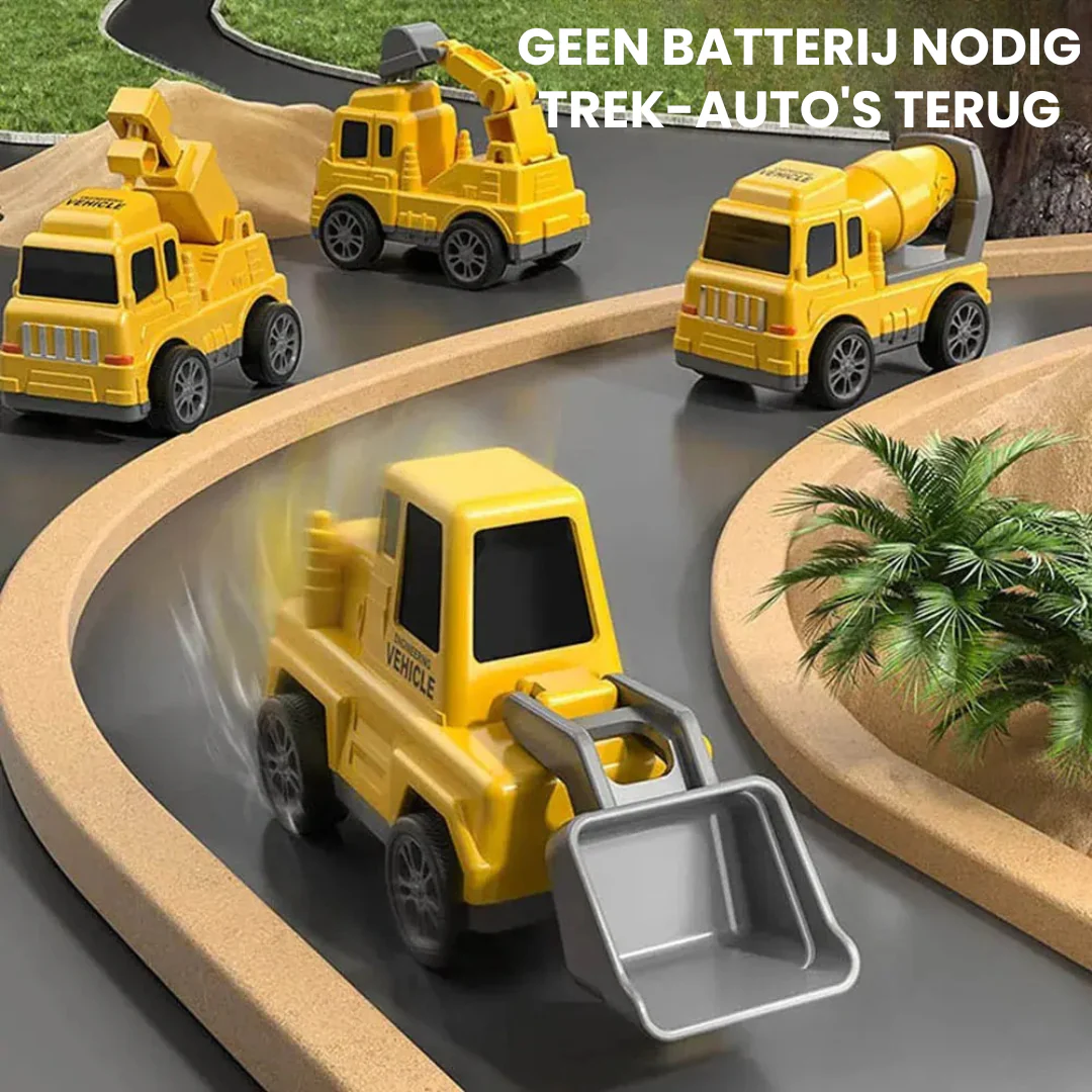 Miniatuur 3