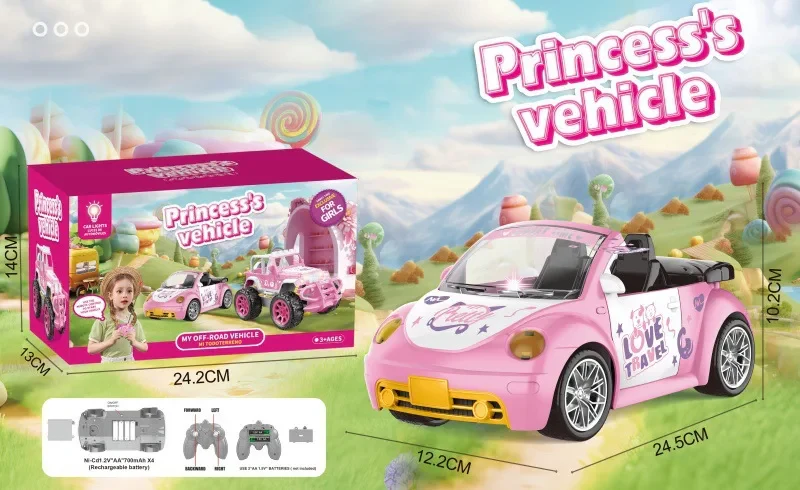 Miniatuur 6