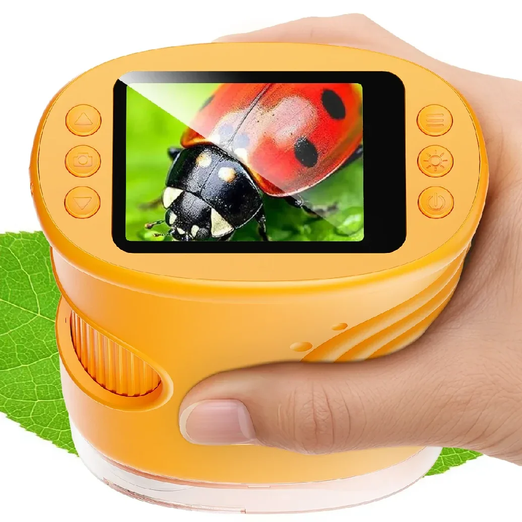 Miniatuur 2