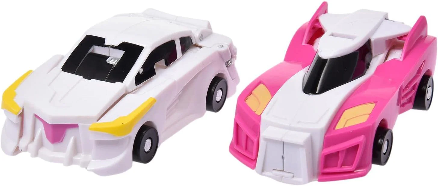 Miniatuur 2