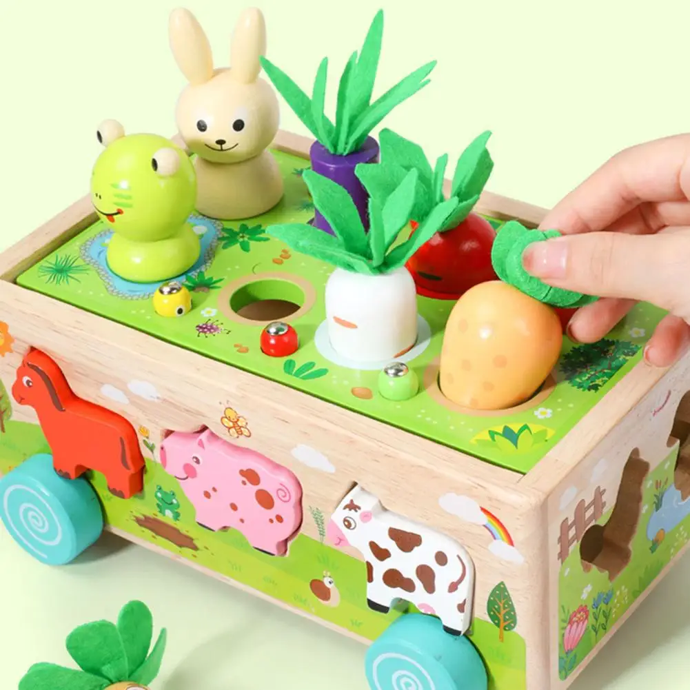 Miniatuur 5